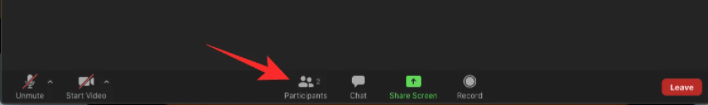 how to raise hand in zoom
