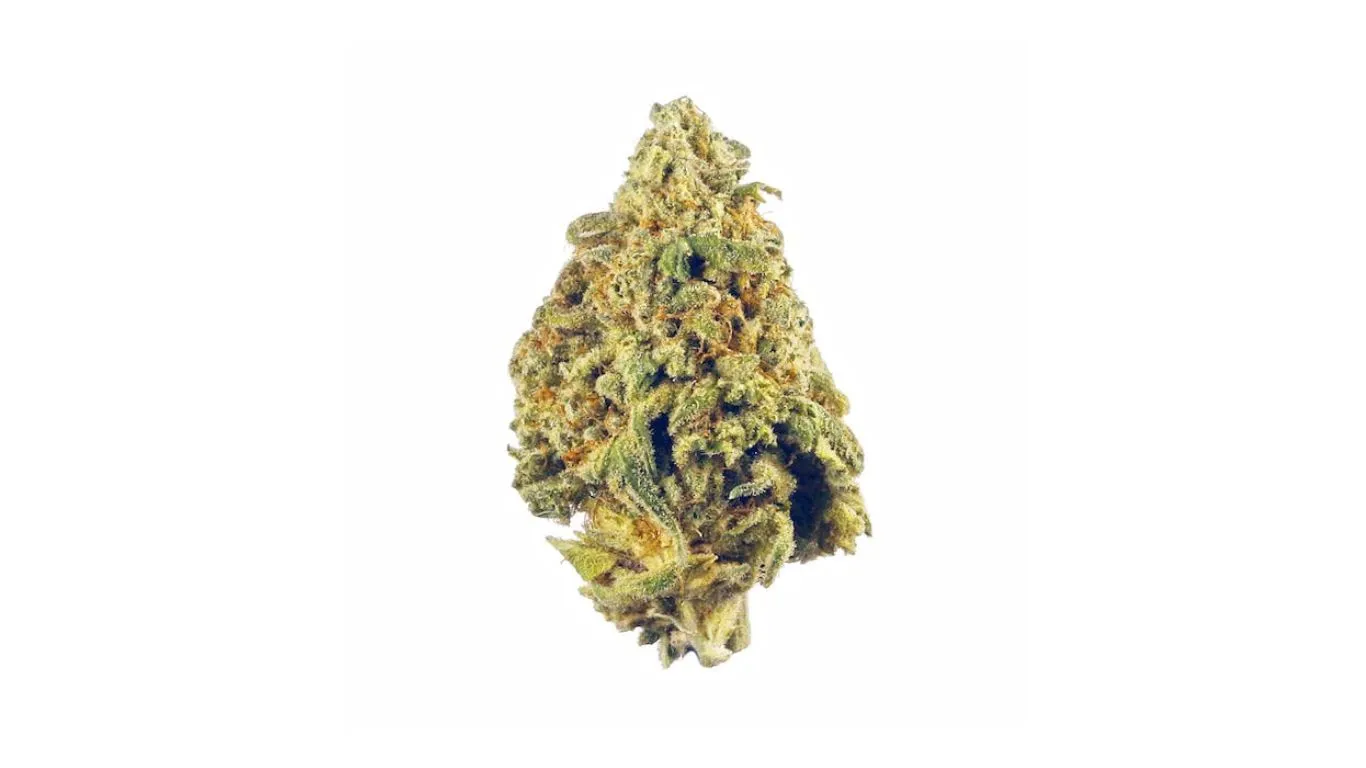 Facts To Know About Donkey Butter Strain Of Weed